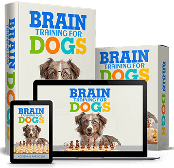 Brain Training For Dogs Review Scam Or Legit