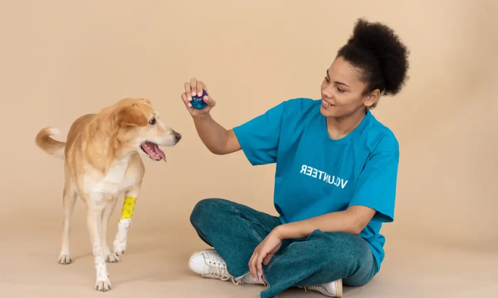online dog training