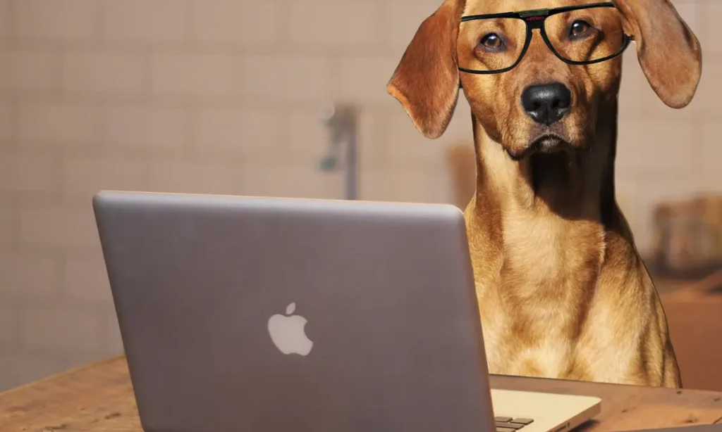 the online dog trainer