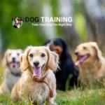 25 Dog Breeds That Live the Longest