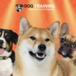 Best Guard Dogs in India