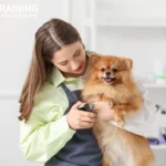 how to cut dog nails